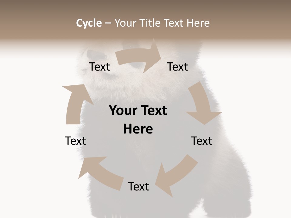 Bear Cub Isolated Panda PowerPoint Template
