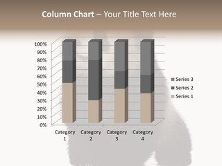 Bear Cub Isolated Panda PowerPoint Template