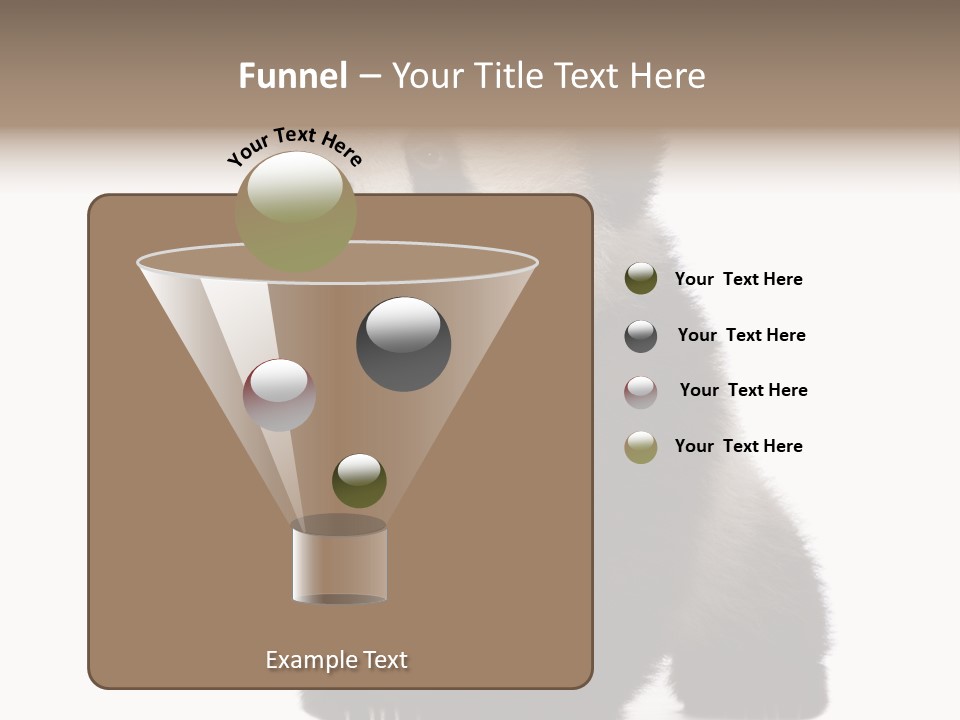 Bear Cub Isolated Panda PowerPoint Template