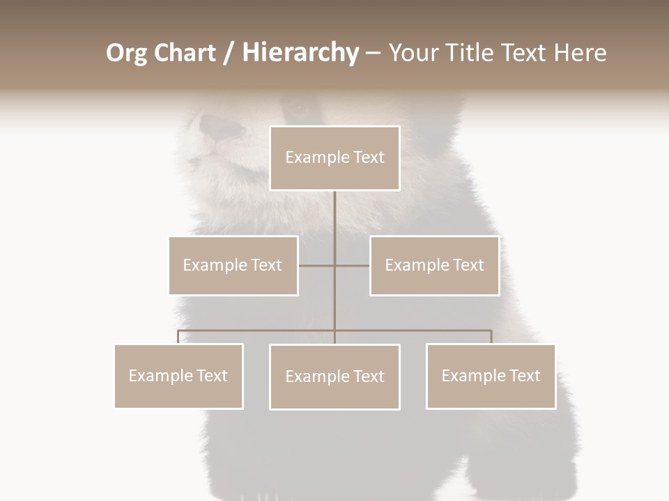 Bear Cub Isolated Panda PowerPoint Template