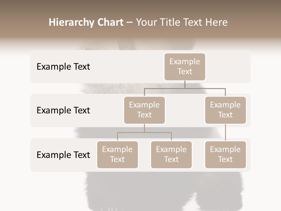 Bear Cub Isolated Panda PowerPoint Template