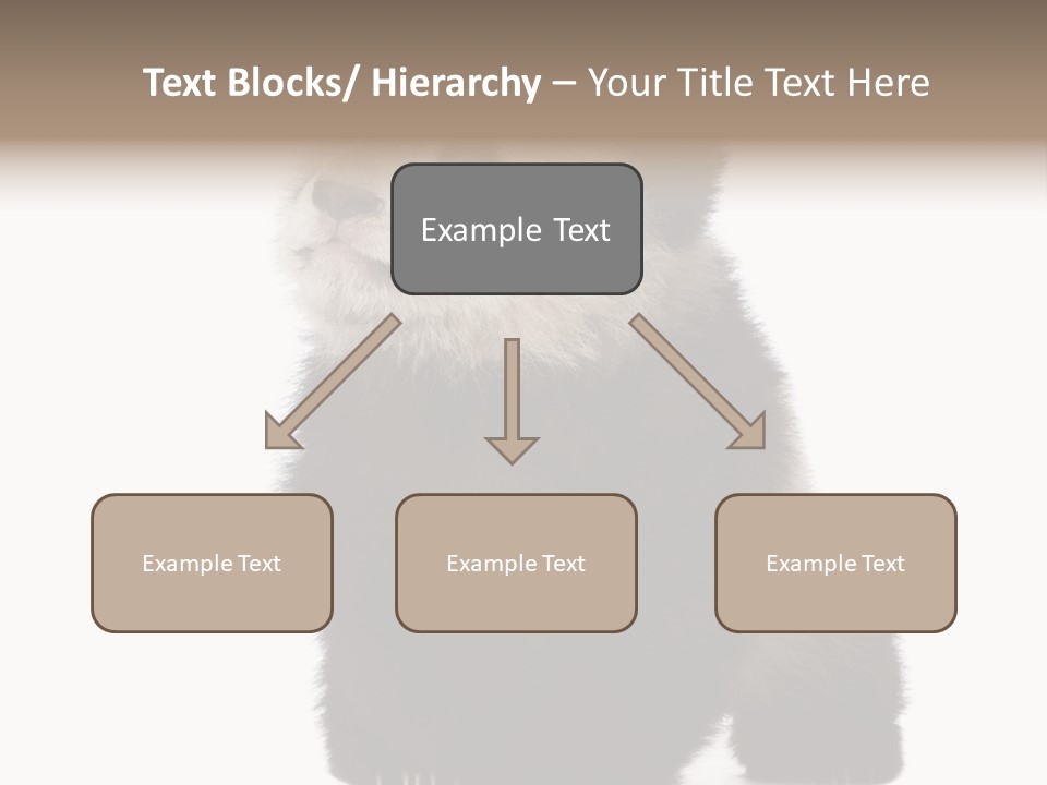 Bear Cub Isolated Panda PowerPoint Template