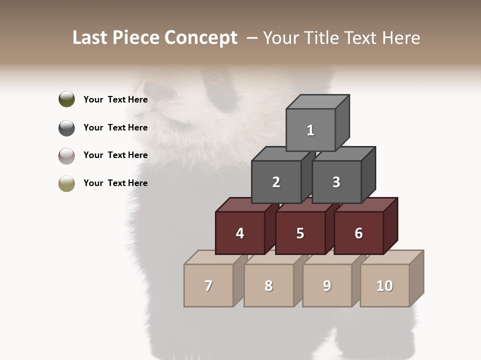 Bear Cub Isolated Panda PowerPoint Template