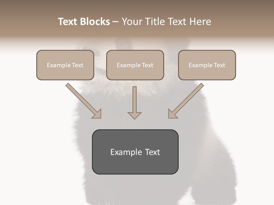 Bear Cub Isolated Panda PowerPoint Template