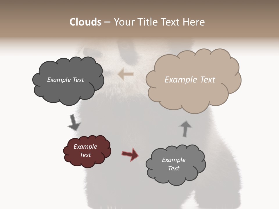 Bear Cub Isolated Panda PowerPoint Template