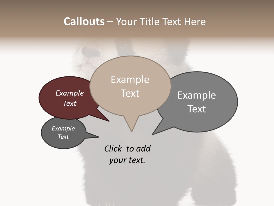 Bear Cub Isolated Panda PowerPoint Template