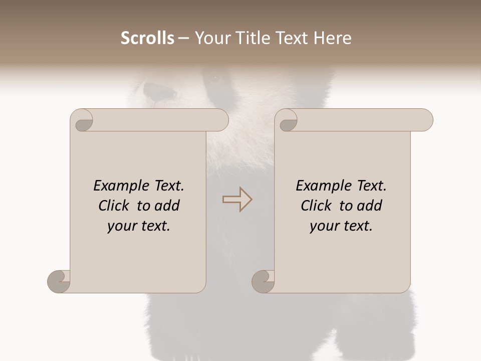 Bear Cub Isolated Panda PowerPoint Template