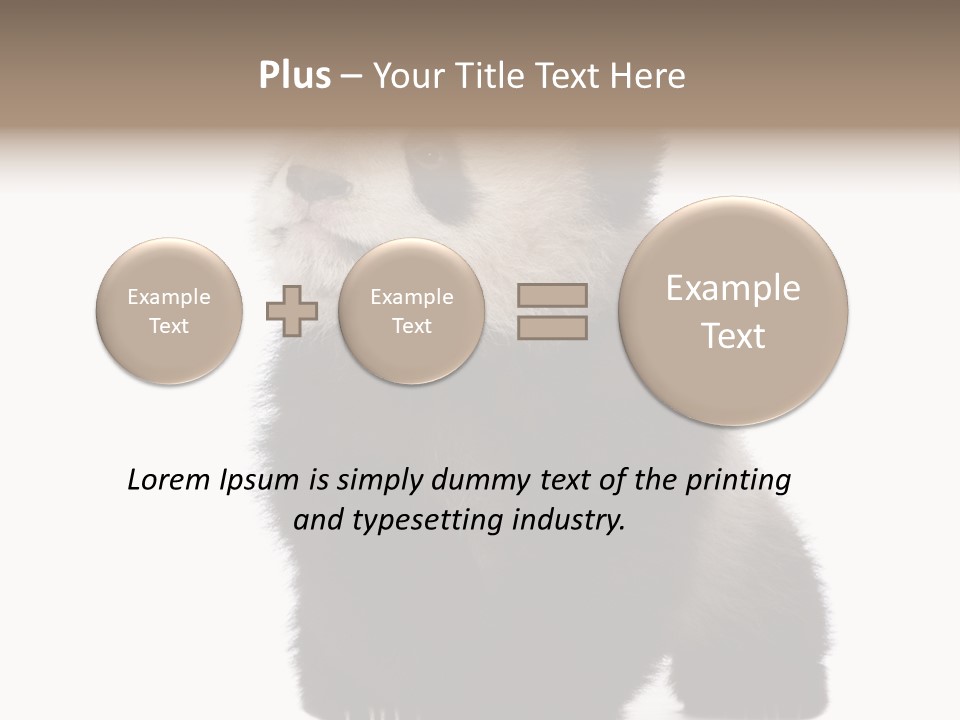 Bear Cub Isolated Panda PowerPoint Template