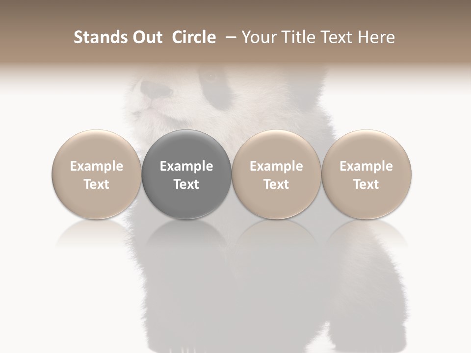 Bear Cub Isolated Panda PowerPoint Template