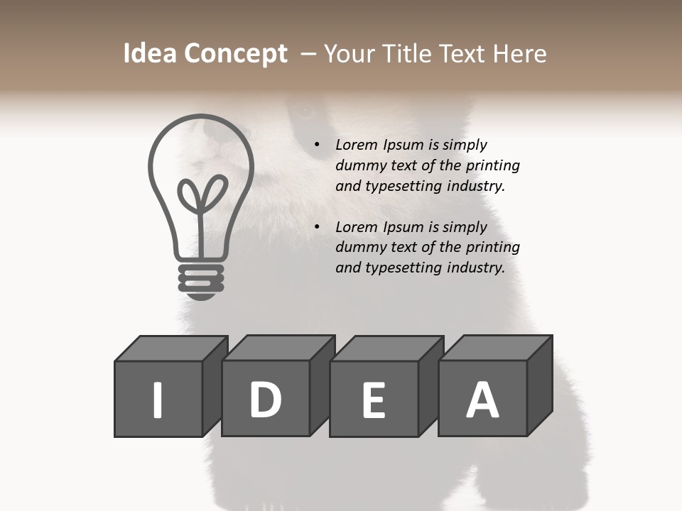 Bear Cub Isolated Panda PowerPoint Template