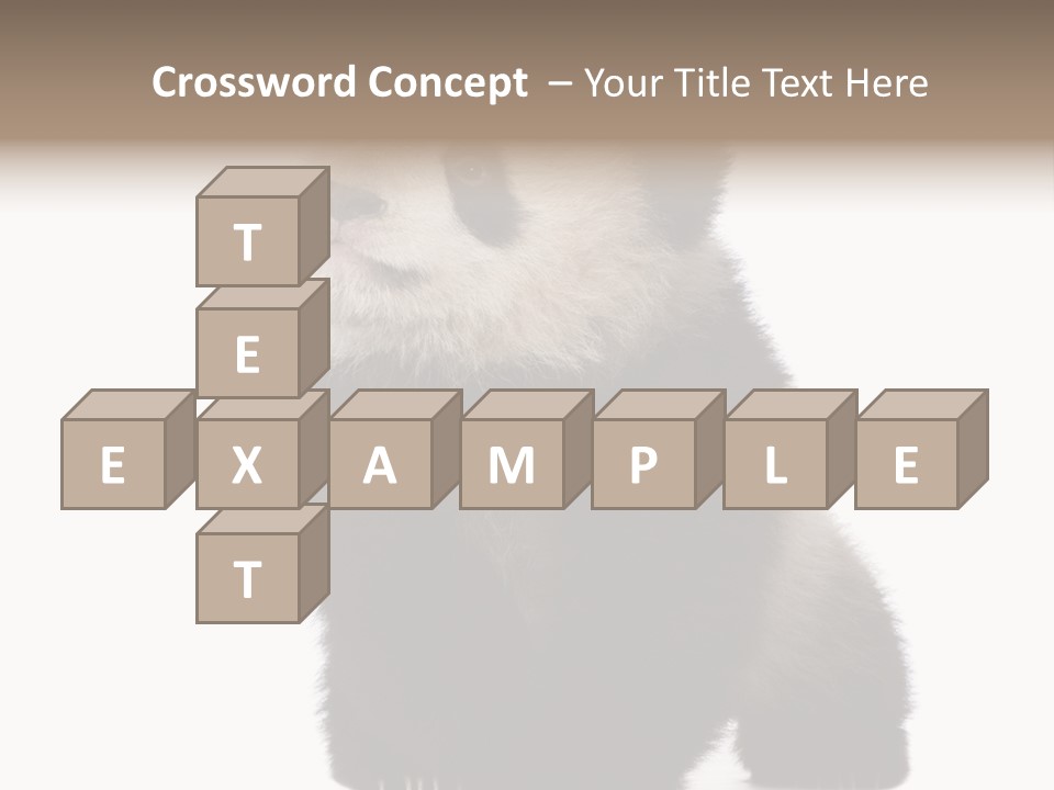 Bear Cub Isolated Panda PowerPoint Template