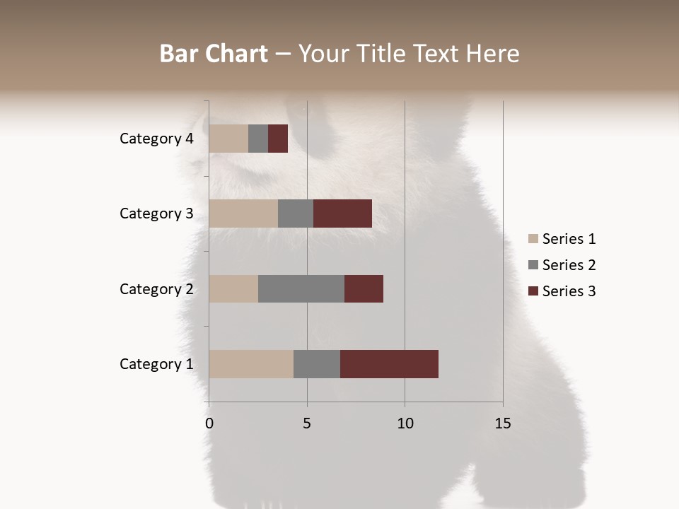 Bear Cub Isolated Panda PowerPoint Template