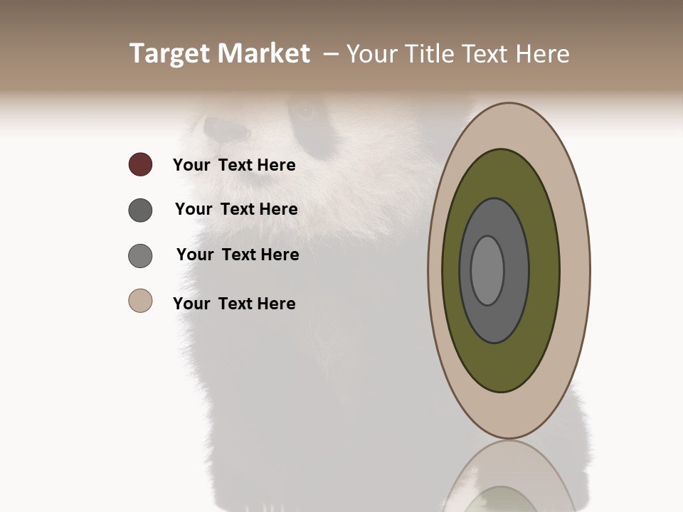 Bear Cub Isolated Panda PowerPoint Template