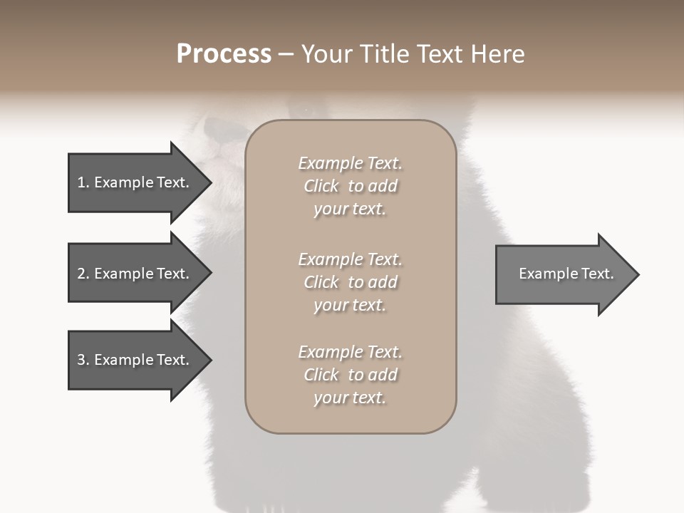 Bear Cub Isolated Panda PowerPoint Template