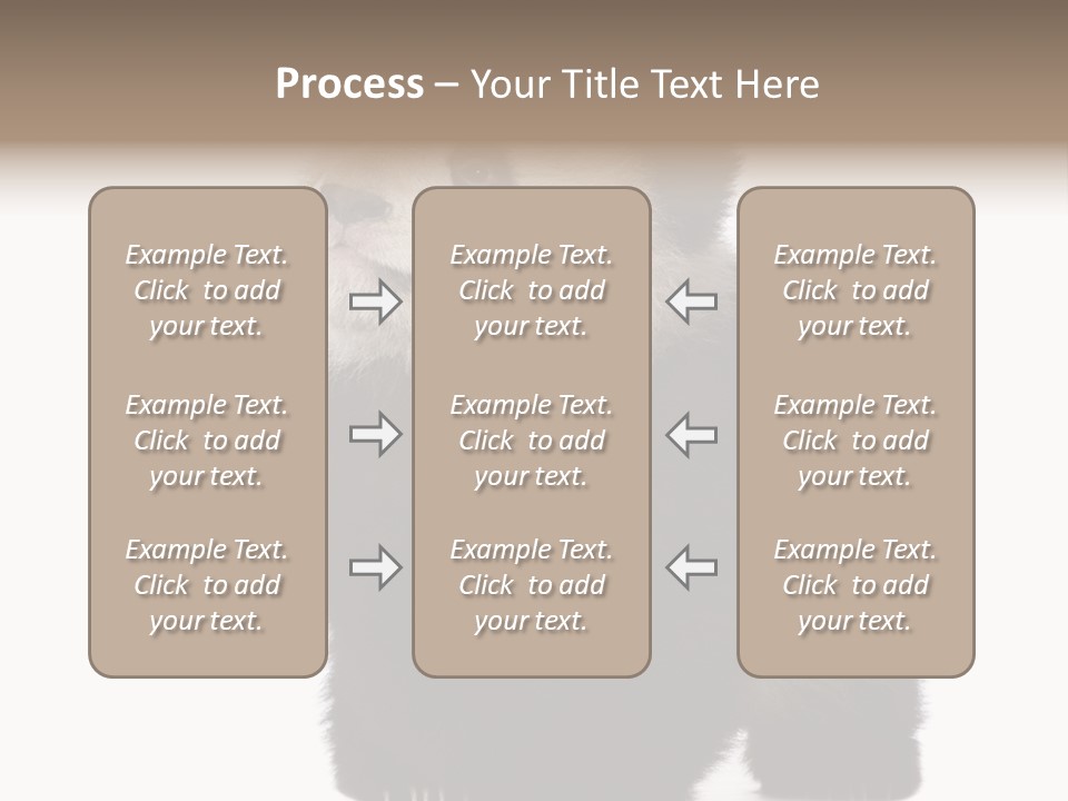 Bear Cub Isolated Panda PowerPoint Template