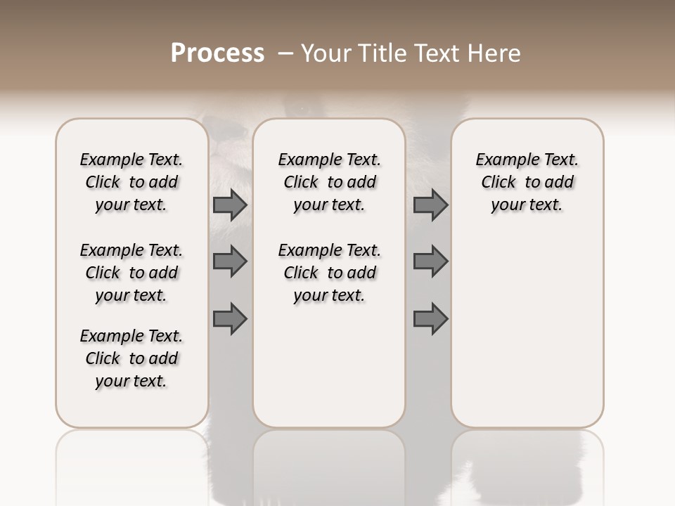 Bear Cub Isolated Panda PowerPoint Template