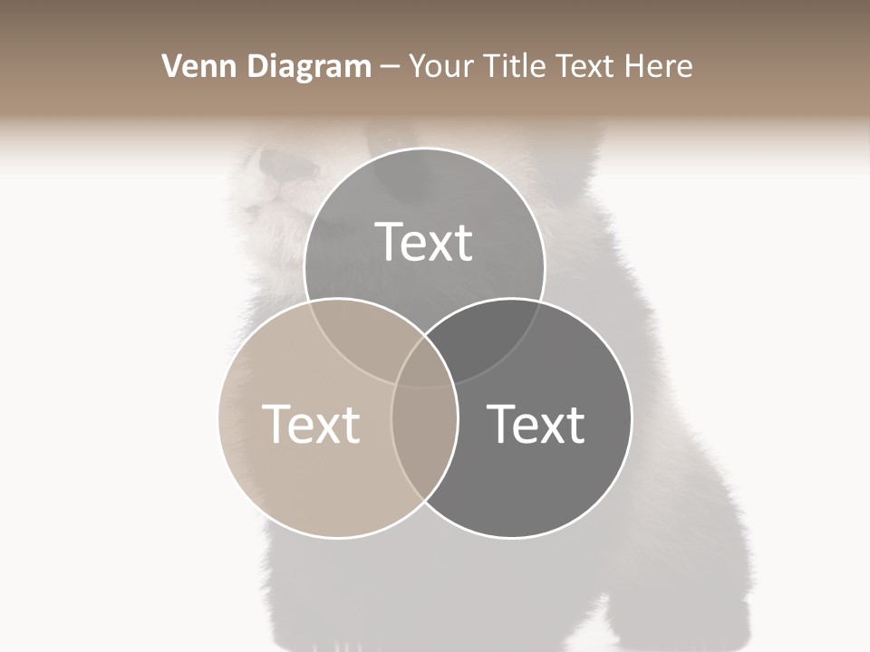 Bear Cub Isolated Panda PowerPoint Template