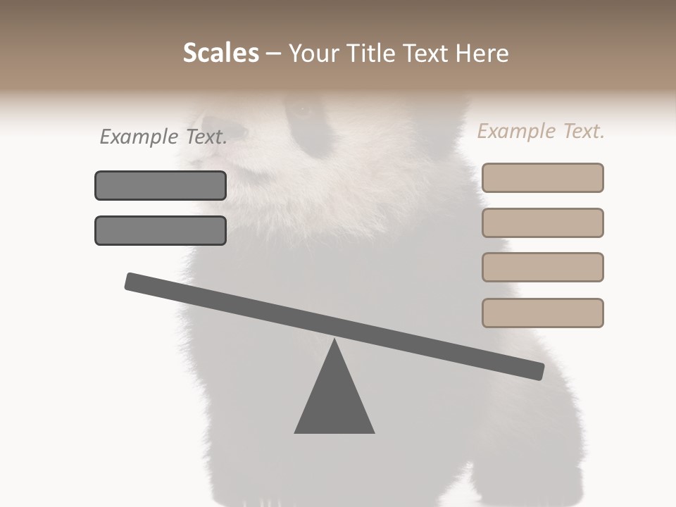 Bear Cub Isolated Panda PowerPoint Template