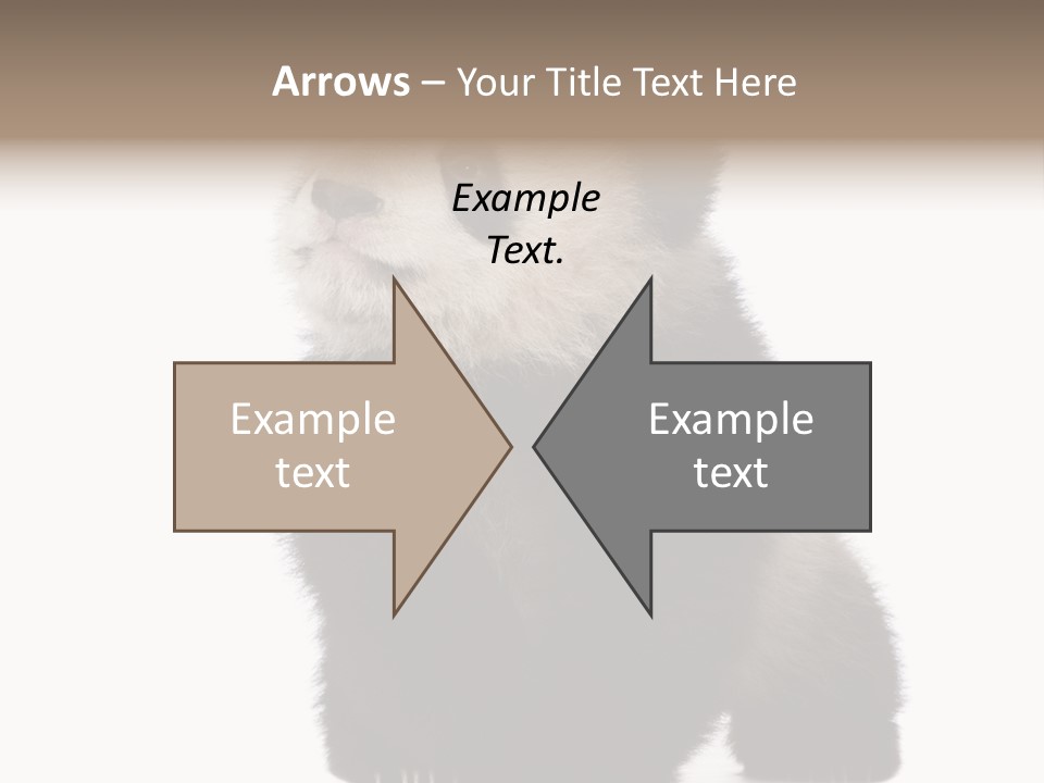 Bear Cub Isolated Panda PowerPoint Template