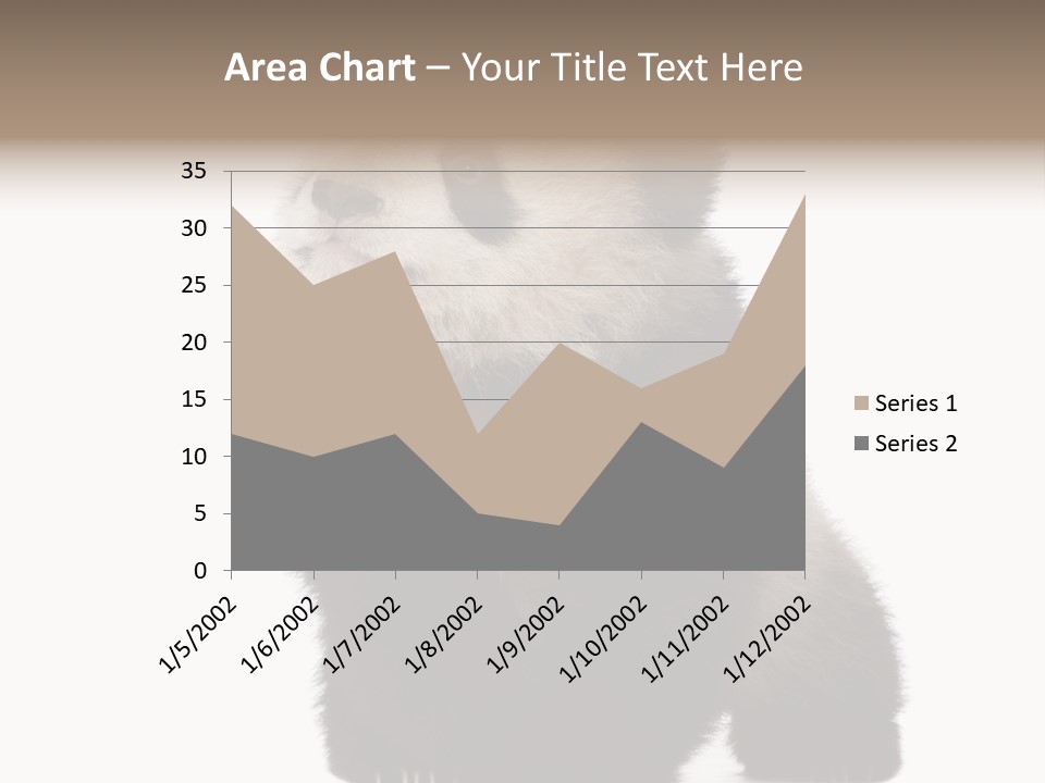 Bear Cub Isolated Panda PowerPoint Template