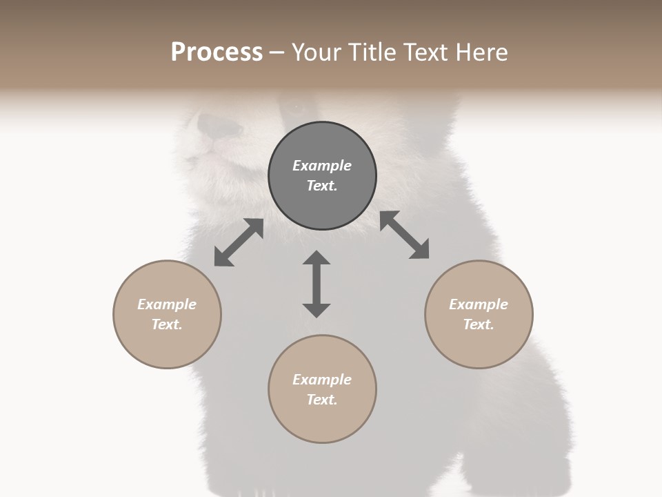 Bear Cub Isolated Panda PowerPoint Template