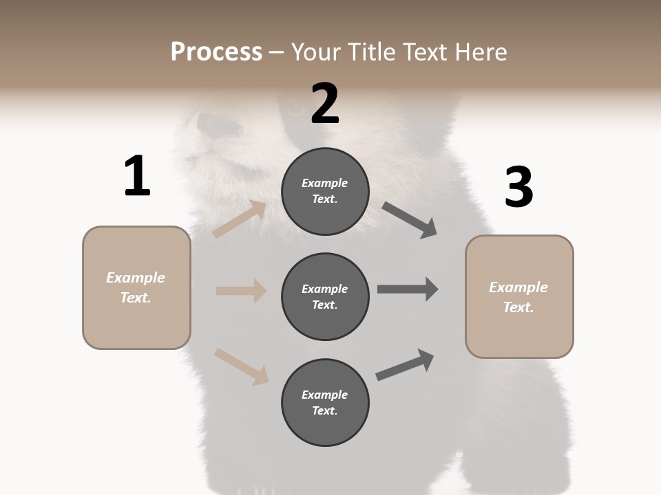 Bear Cub Isolated Panda PowerPoint Template