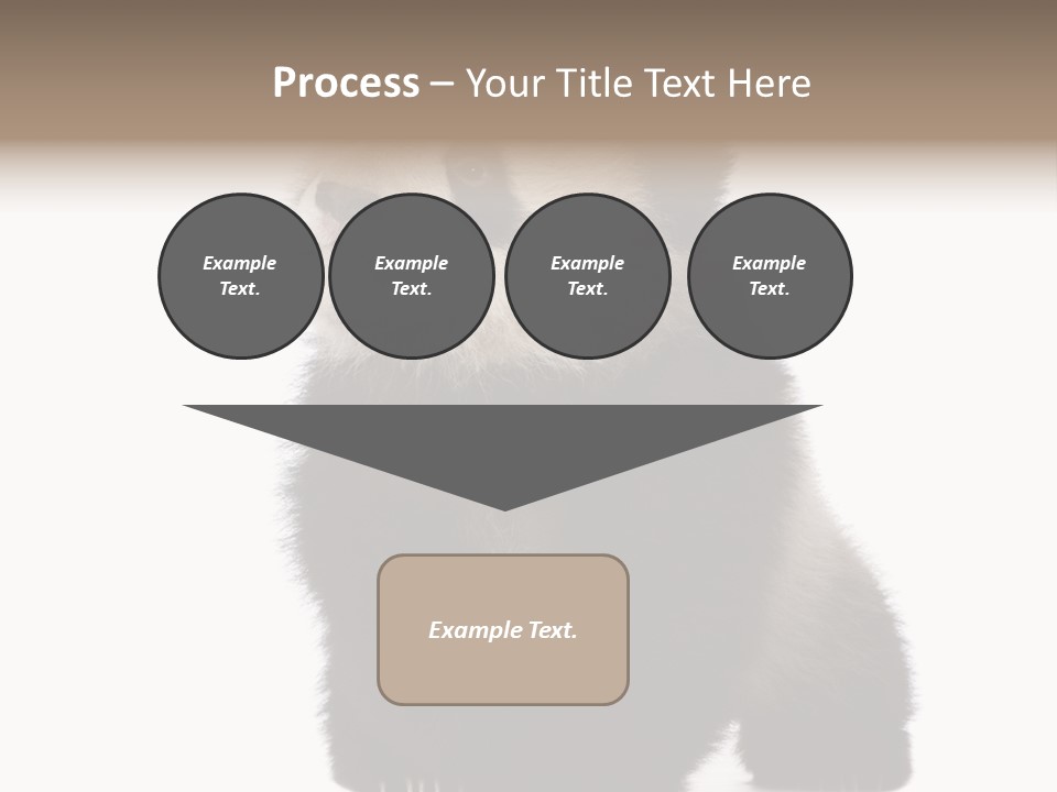 Bear Cub Isolated Panda PowerPoint Template
