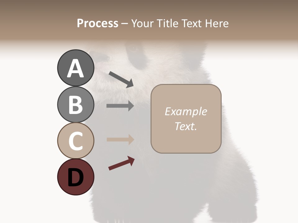 Bear Cub Isolated Panda PowerPoint Template
