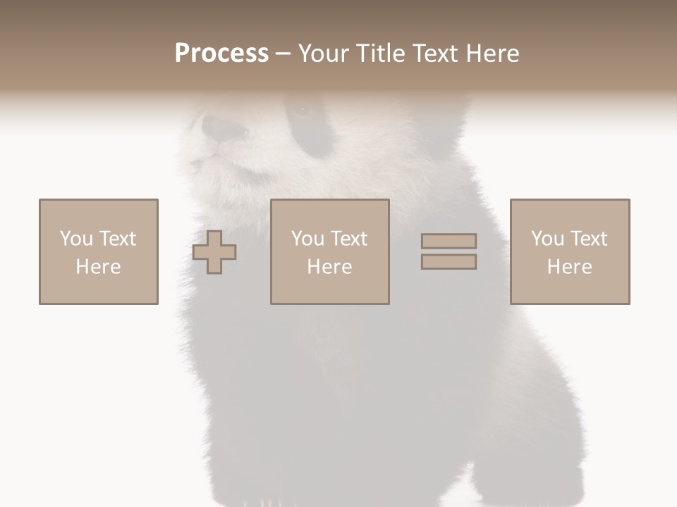 Bear Cub Isolated Panda PowerPoint Template
