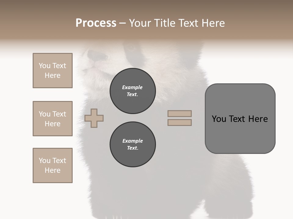 Bear Cub Isolated Panda PowerPoint Template