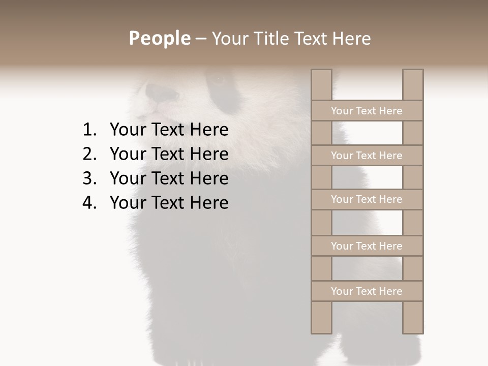 Bear Cub Isolated Panda PowerPoint Template