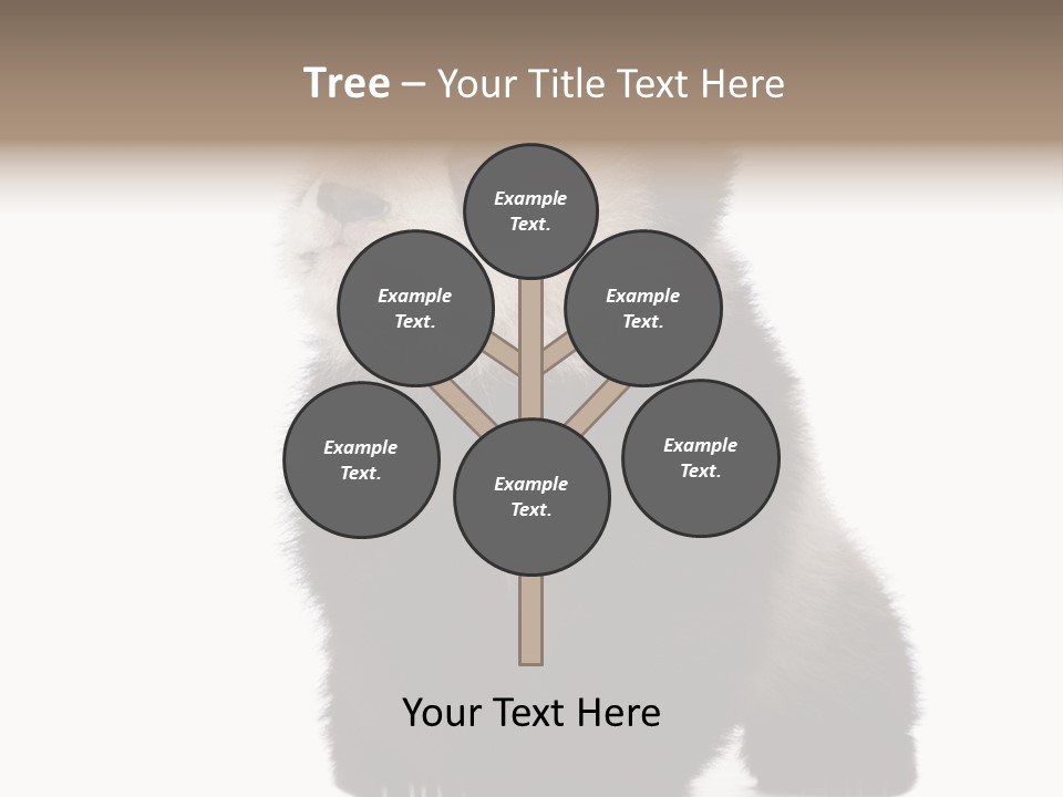 Bear Cub Isolated Panda PowerPoint Template