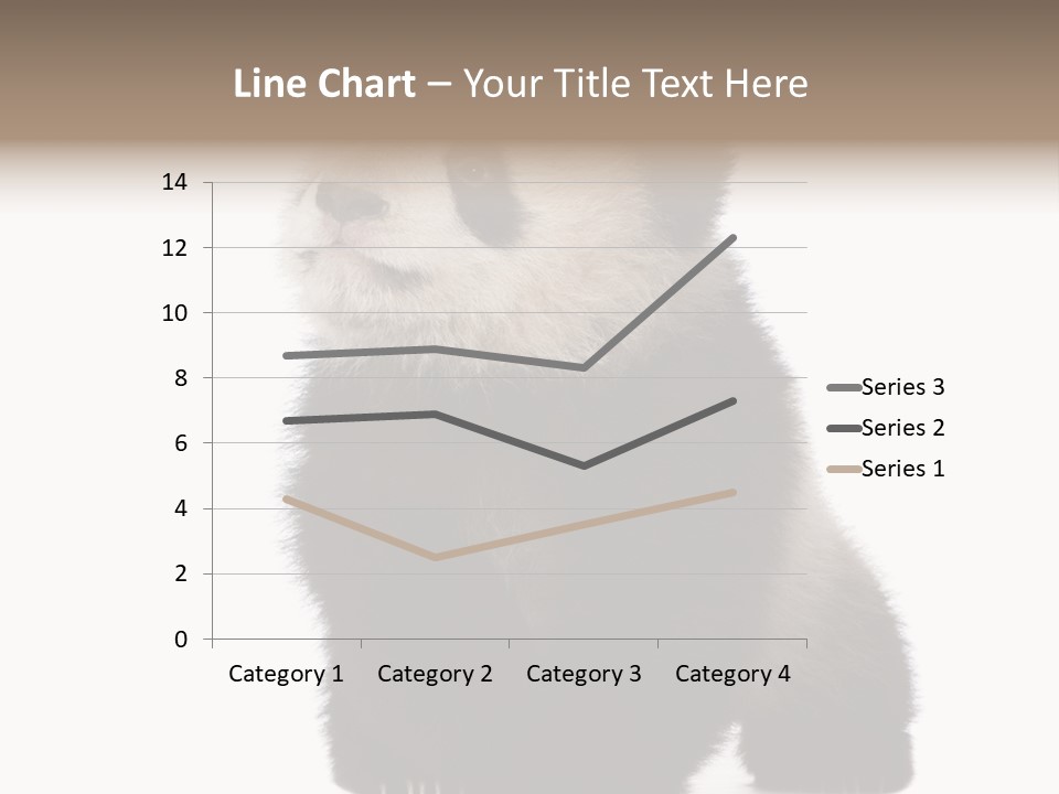 Bear Cub Isolated Panda PowerPoint Template