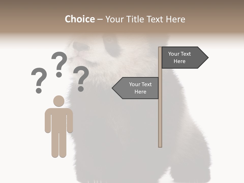 Bear Cub Isolated Panda PowerPoint Template