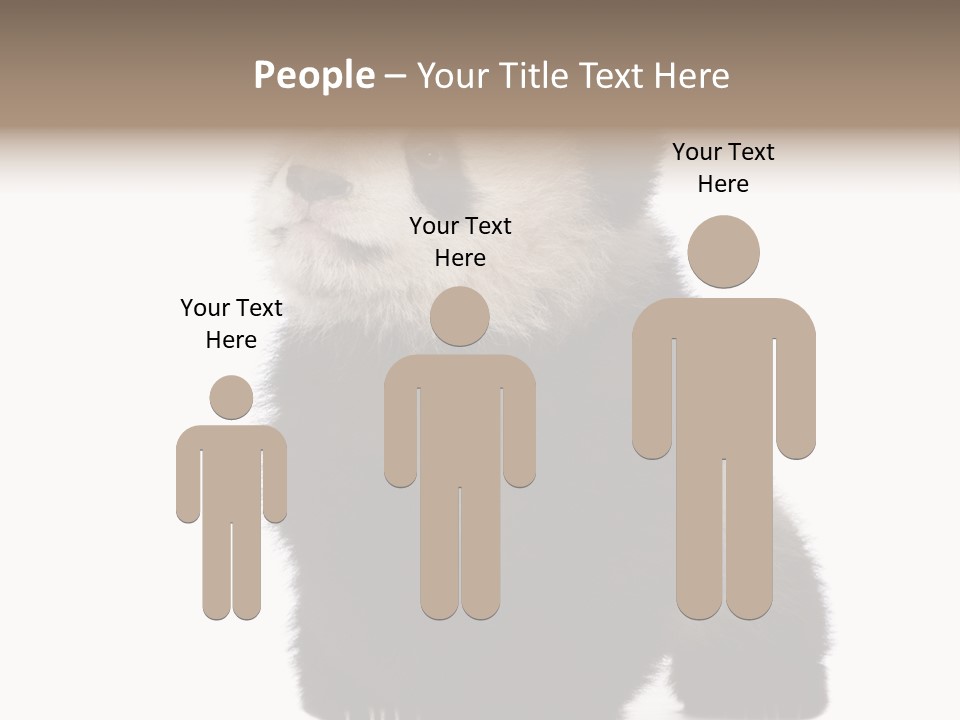 Bear Cub Isolated Panda PowerPoint Template