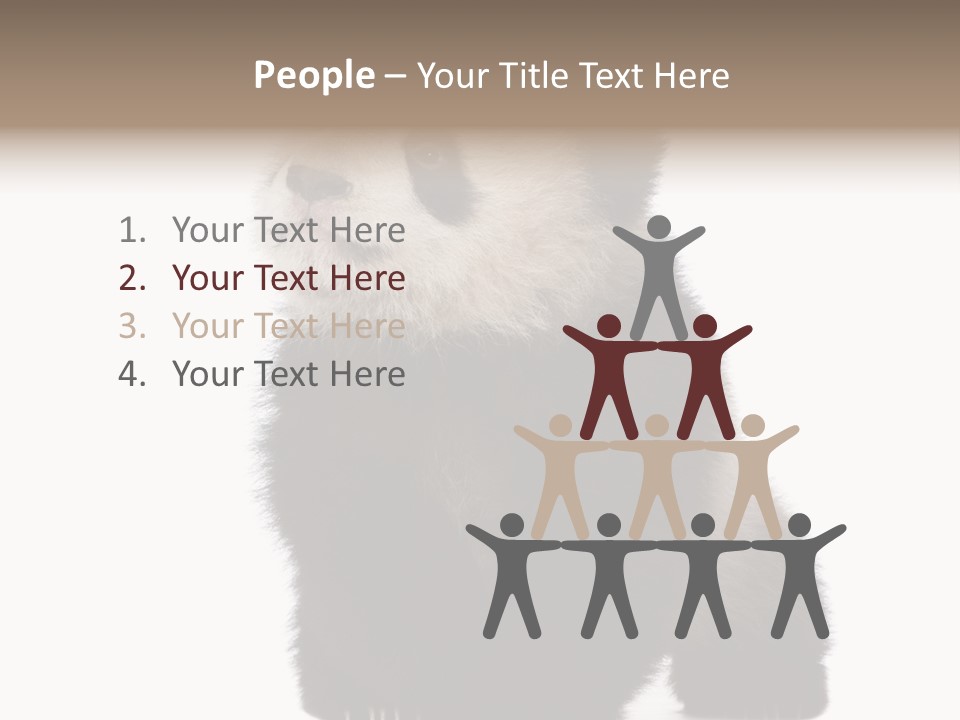 Bear Cub Isolated Panda PowerPoint Template