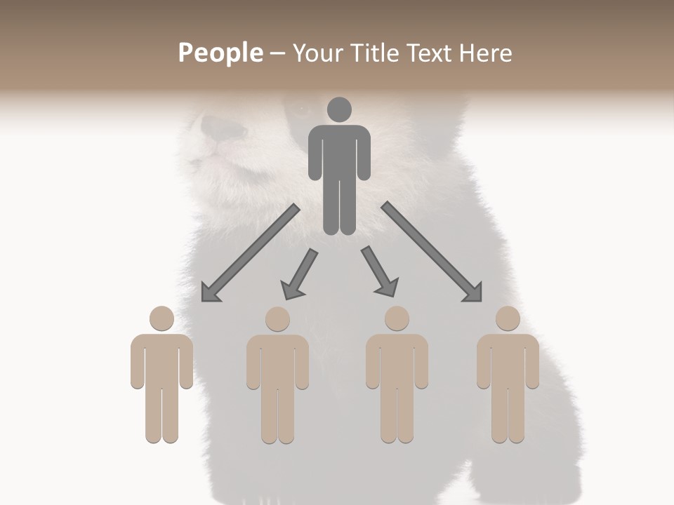 Bear Cub Isolated Panda PowerPoint Template