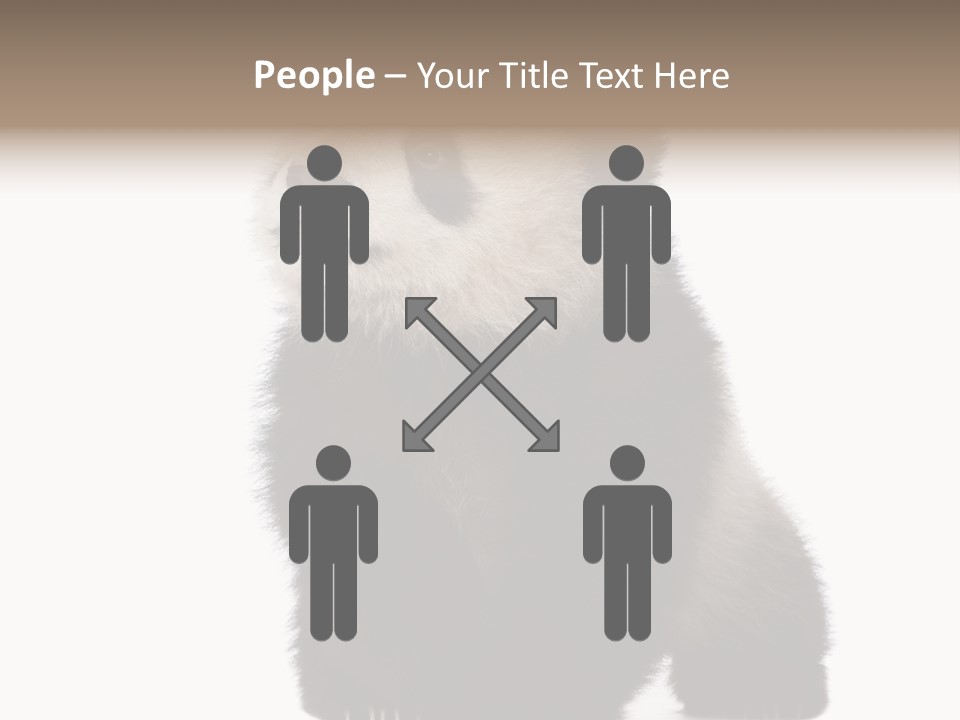 Bear Cub Isolated Panda PowerPoint Template