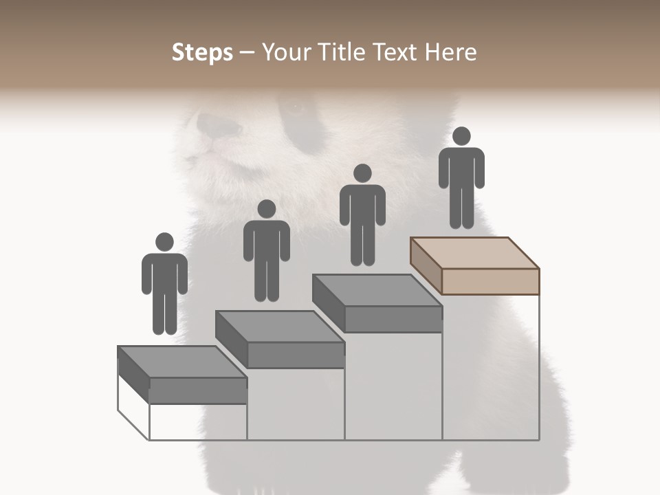 Bear Cub Isolated Panda PowerPoint Template