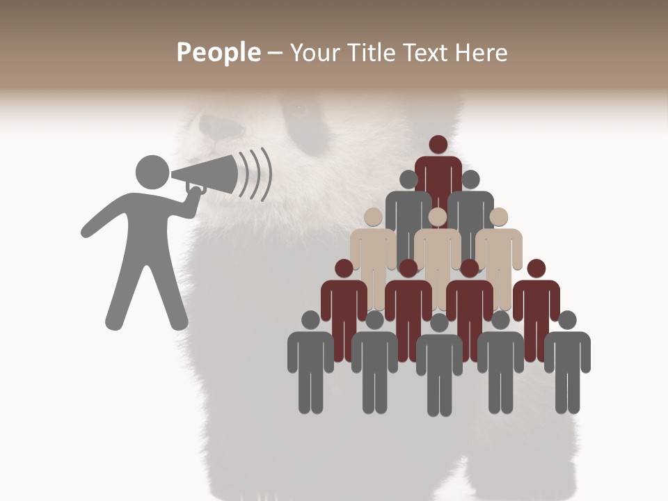 Bear Cub Isolated Panda PowerPoint Template