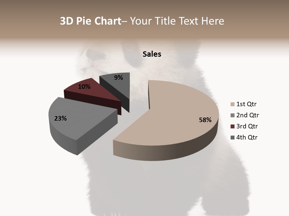 Bear Cub Isolated Panda PowerPoint Template