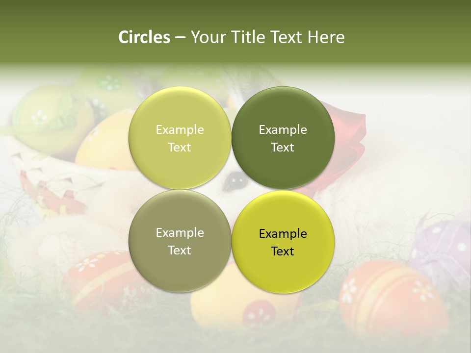 White Season Springtime PowerPoint Template