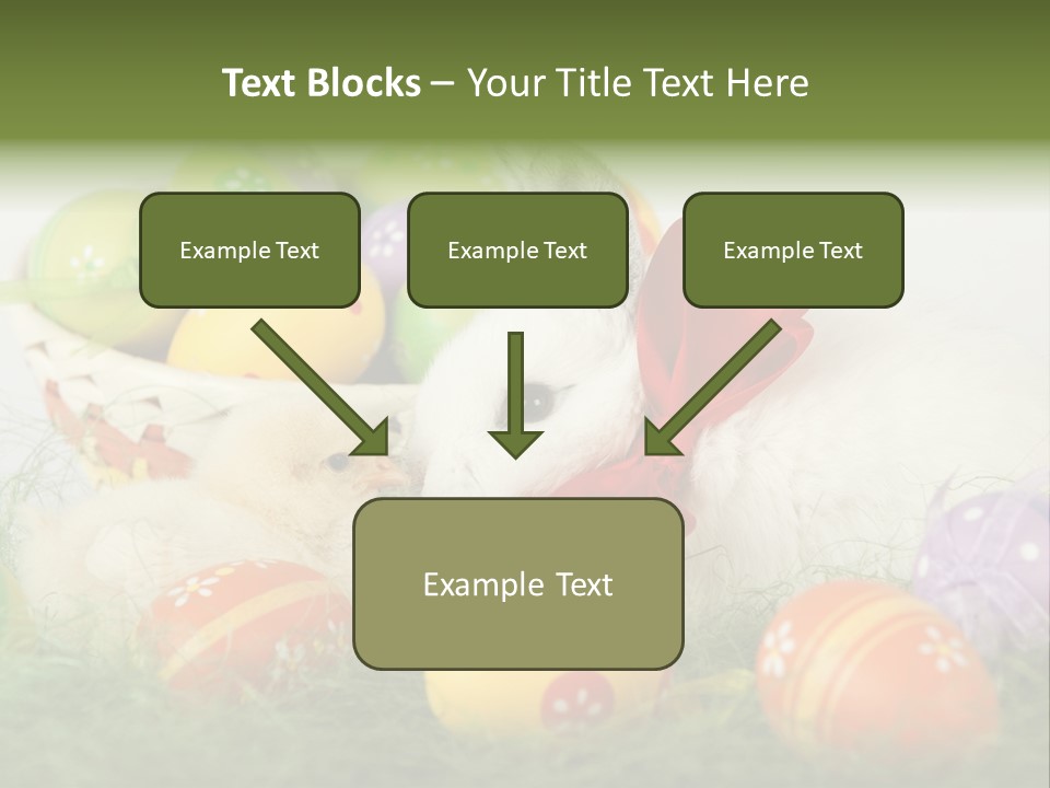 White Season Springtime PowerPoint Template