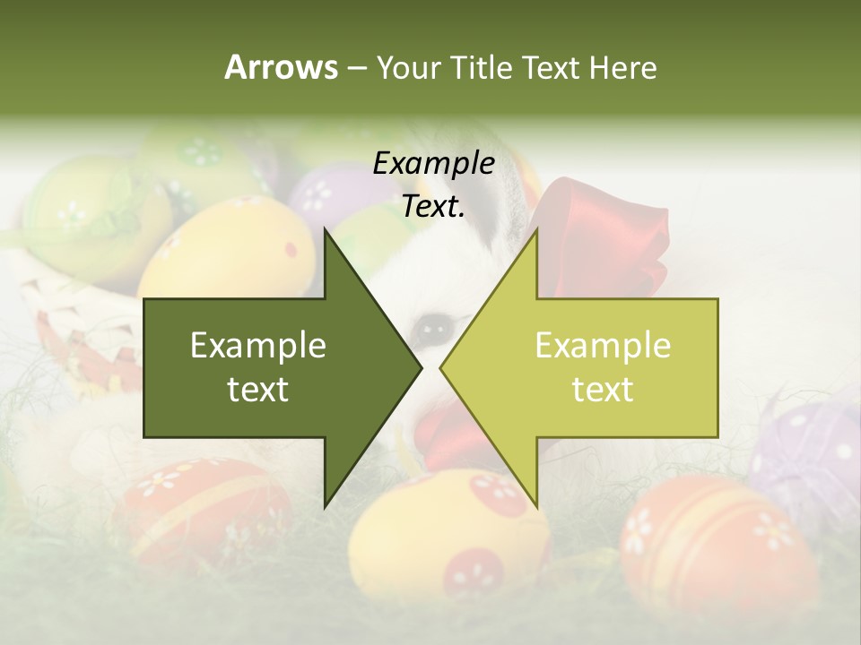 White Season Springtime PowerPoint Template