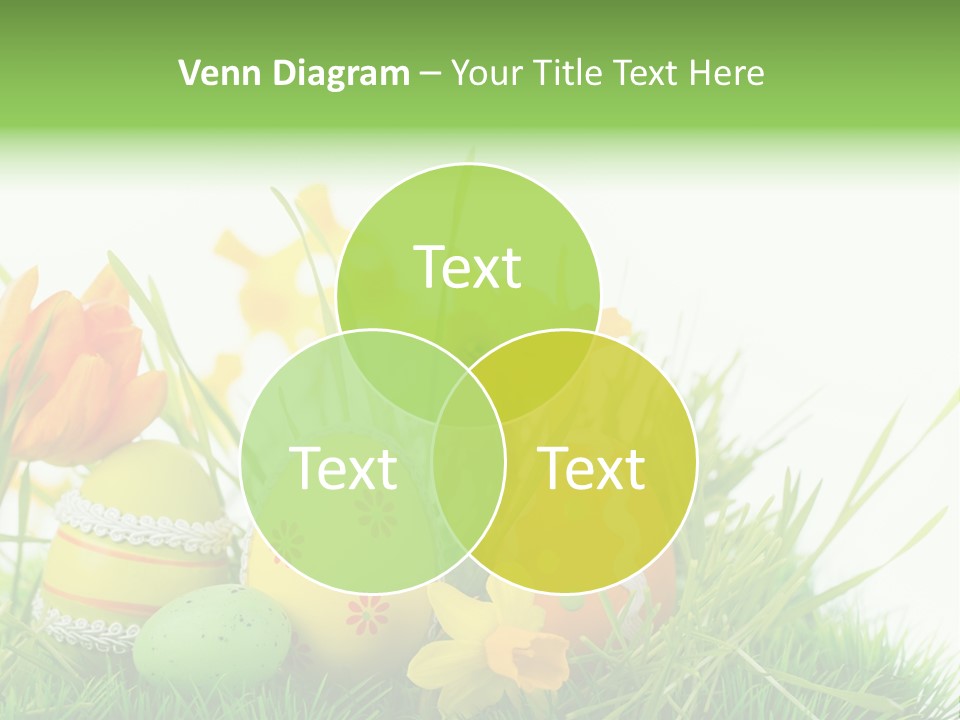 Easteregg Ostereier Suchen Karte PowerPoint Template