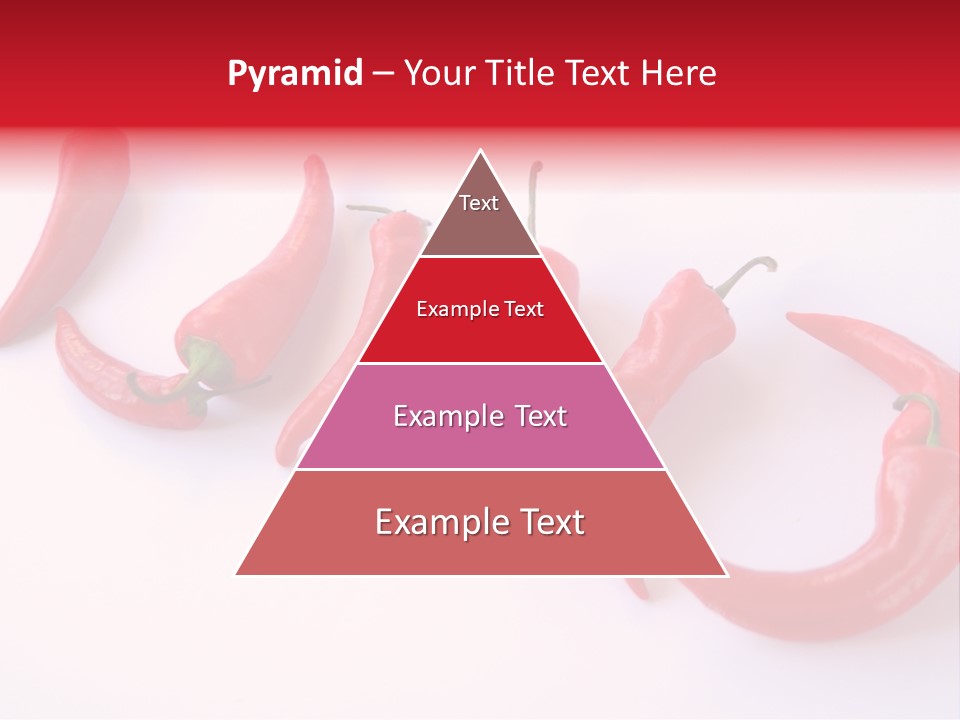Galley Burning Flora PowerPoint Template