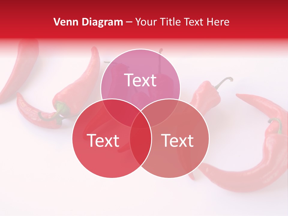 Galley Burning Flora PowerPoint Template