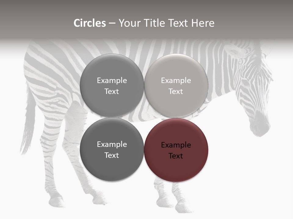 Drink Fat Vegetables PowerPoint Template