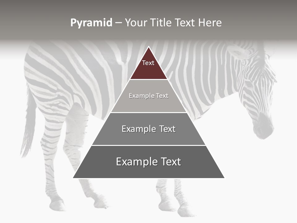 Drink Fat Vegetables PowerPoint Template