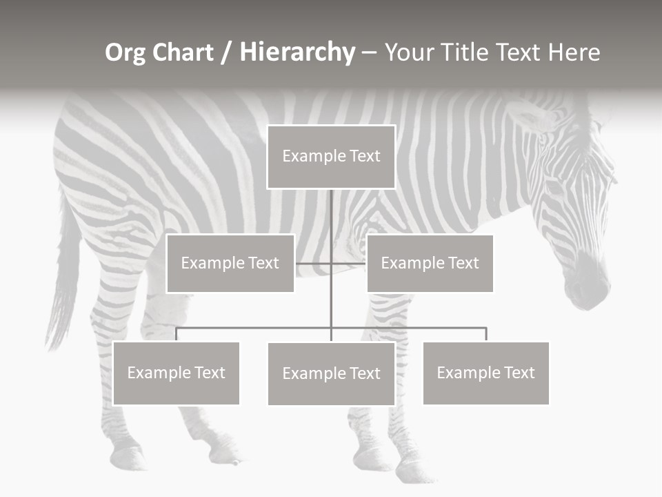 Drink Fat Vegetables PowerPoint Template